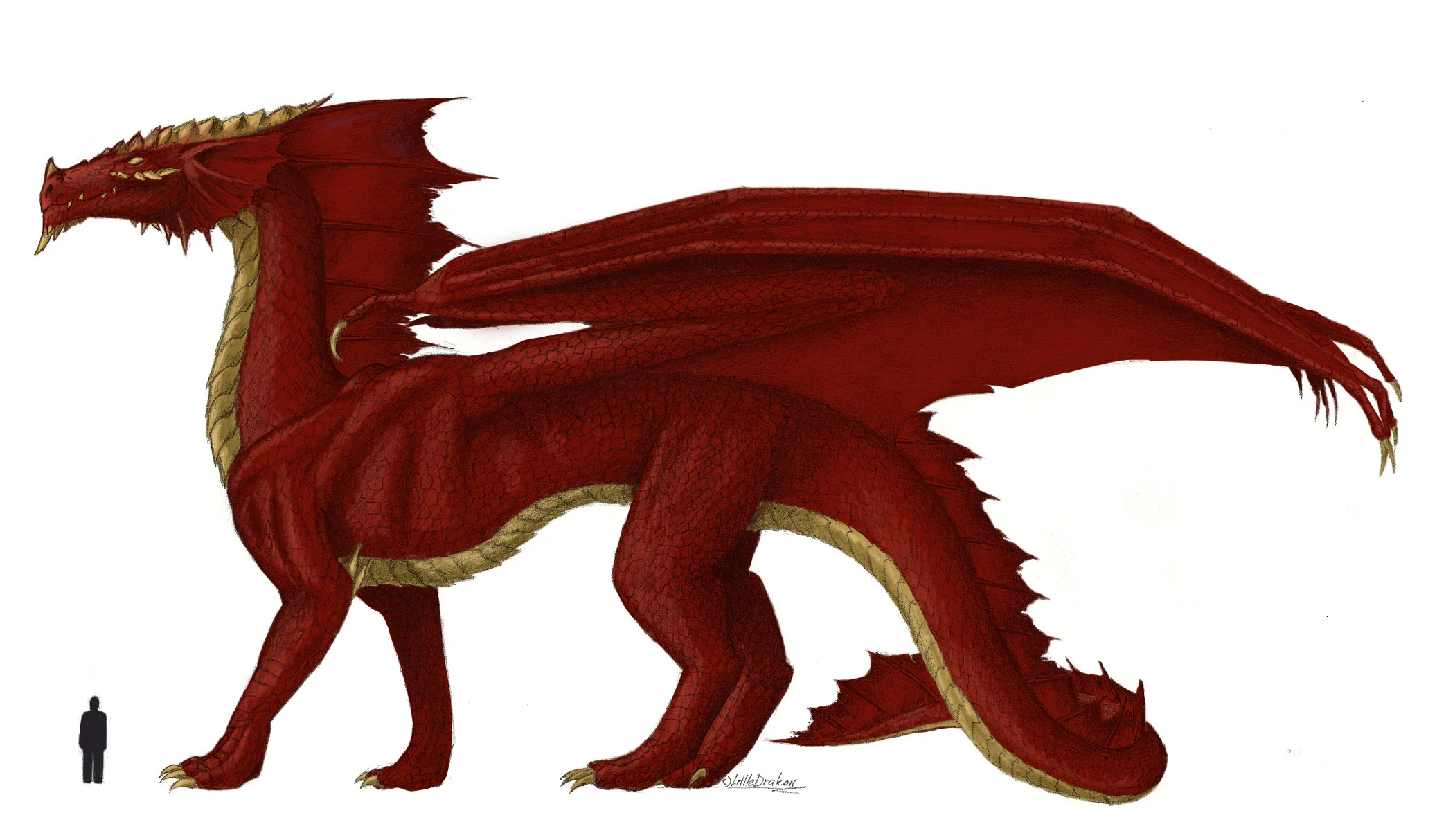 LittleDrakon, CC BY-SA 3.0 Unported